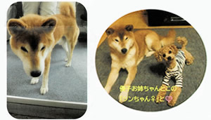 「小さな幸せます」の綴り