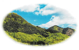 山々の緑の画像