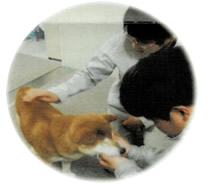 太郎をかわいがる従業員