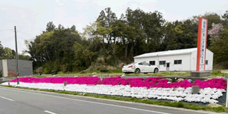 （株）山口工材　山口営業所の芝桜の写真
